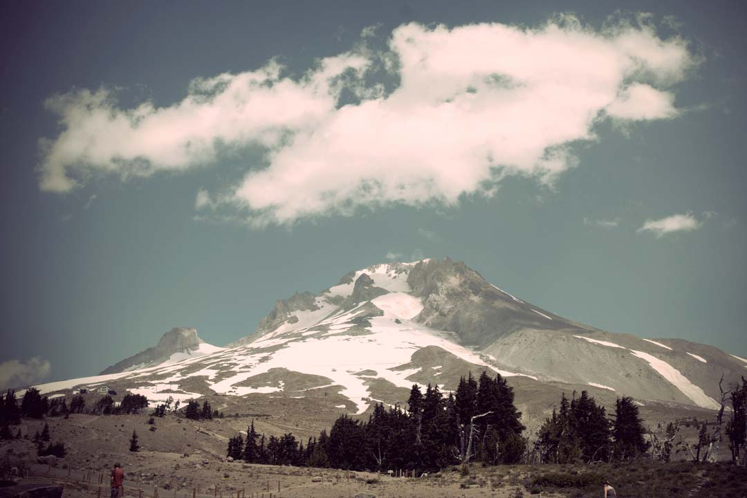 Ismerd meg mestereinket